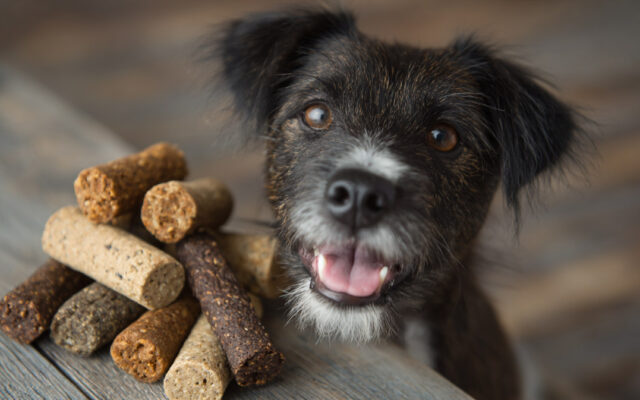 One Ingredient Dog Treats: Simple and Healthy Choices