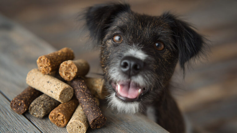 One Ingredient Dog Treats: Simple and Healthy Choices
