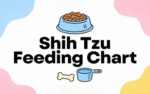 Shih Tzu Feeding Chart