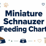 Miniature Schnauzer Feeding Chart