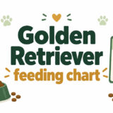 Golden Retriever feeding chart